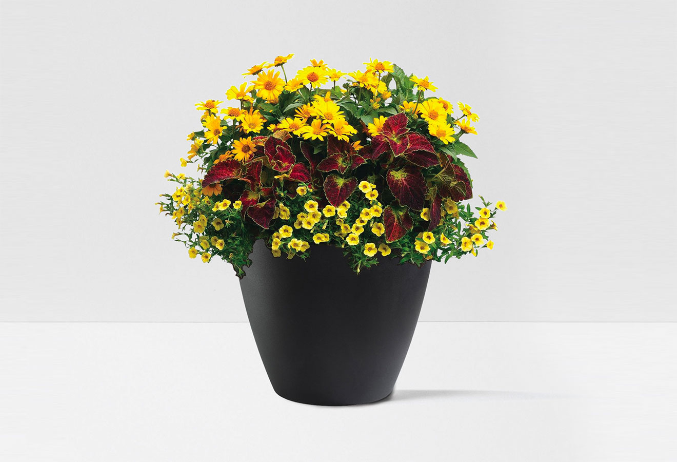 earthplanter_planter_image