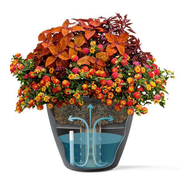 orange_EarthPlanter