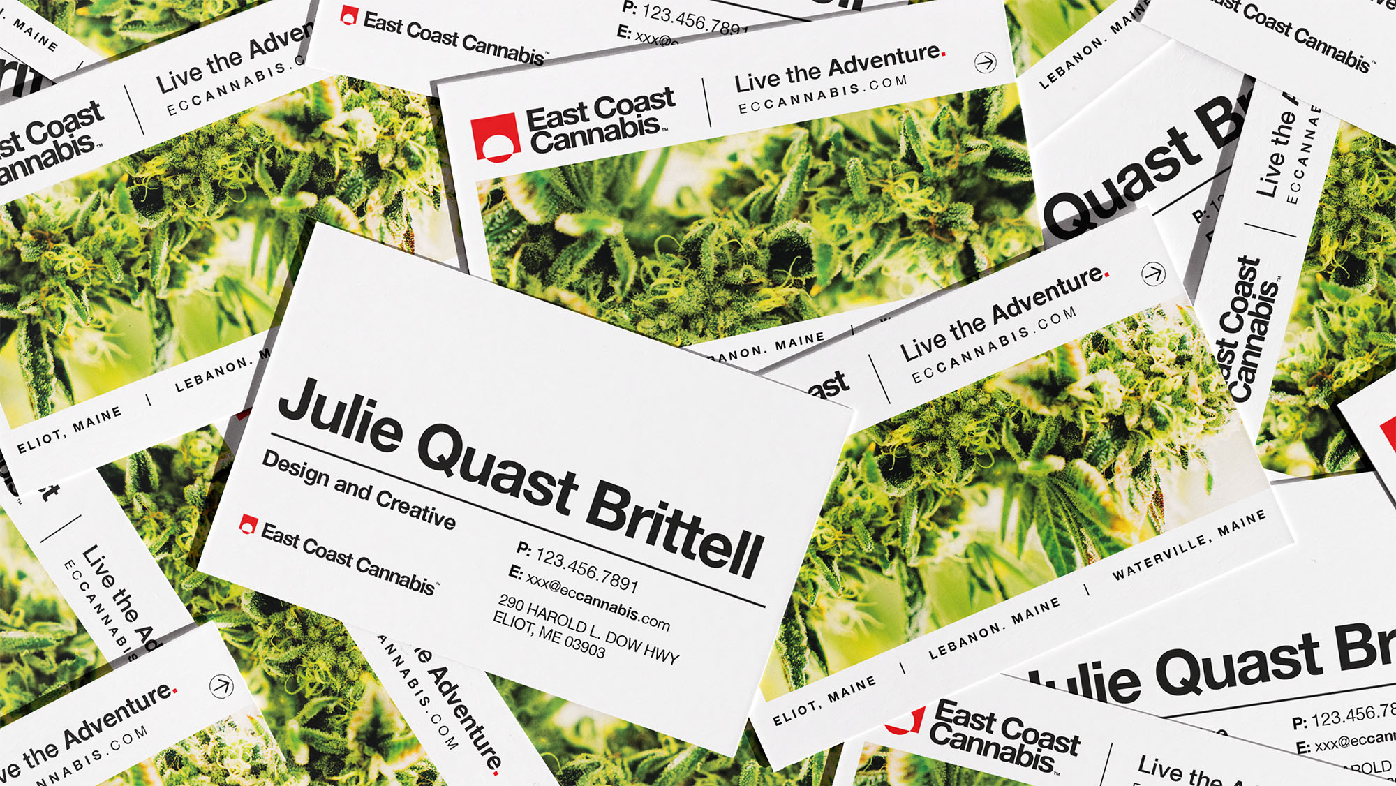 ECC-Business-Cards-update