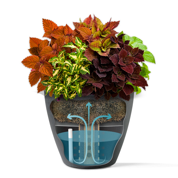 leafy_EarthPlanter