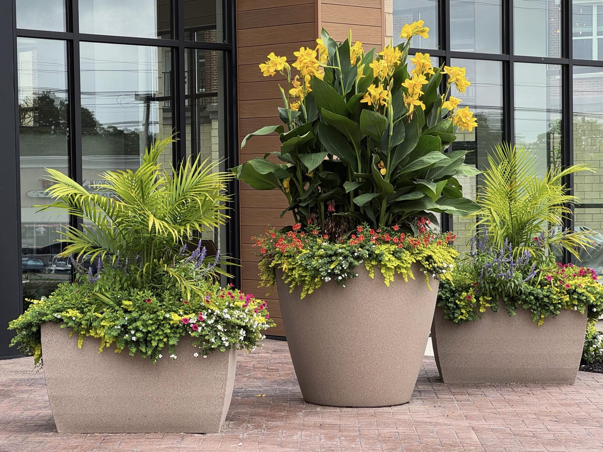 Processed with VSCO with ss1 preset