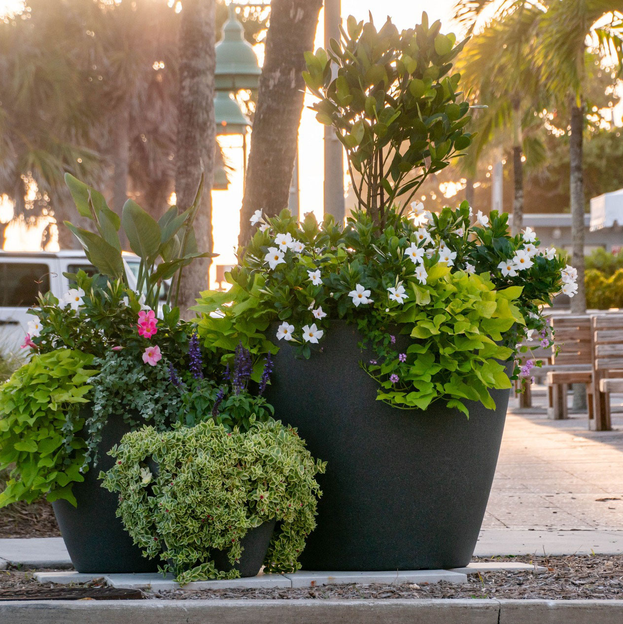 earthplanter_crop_FL