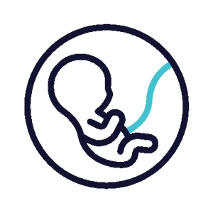 fetus_icon