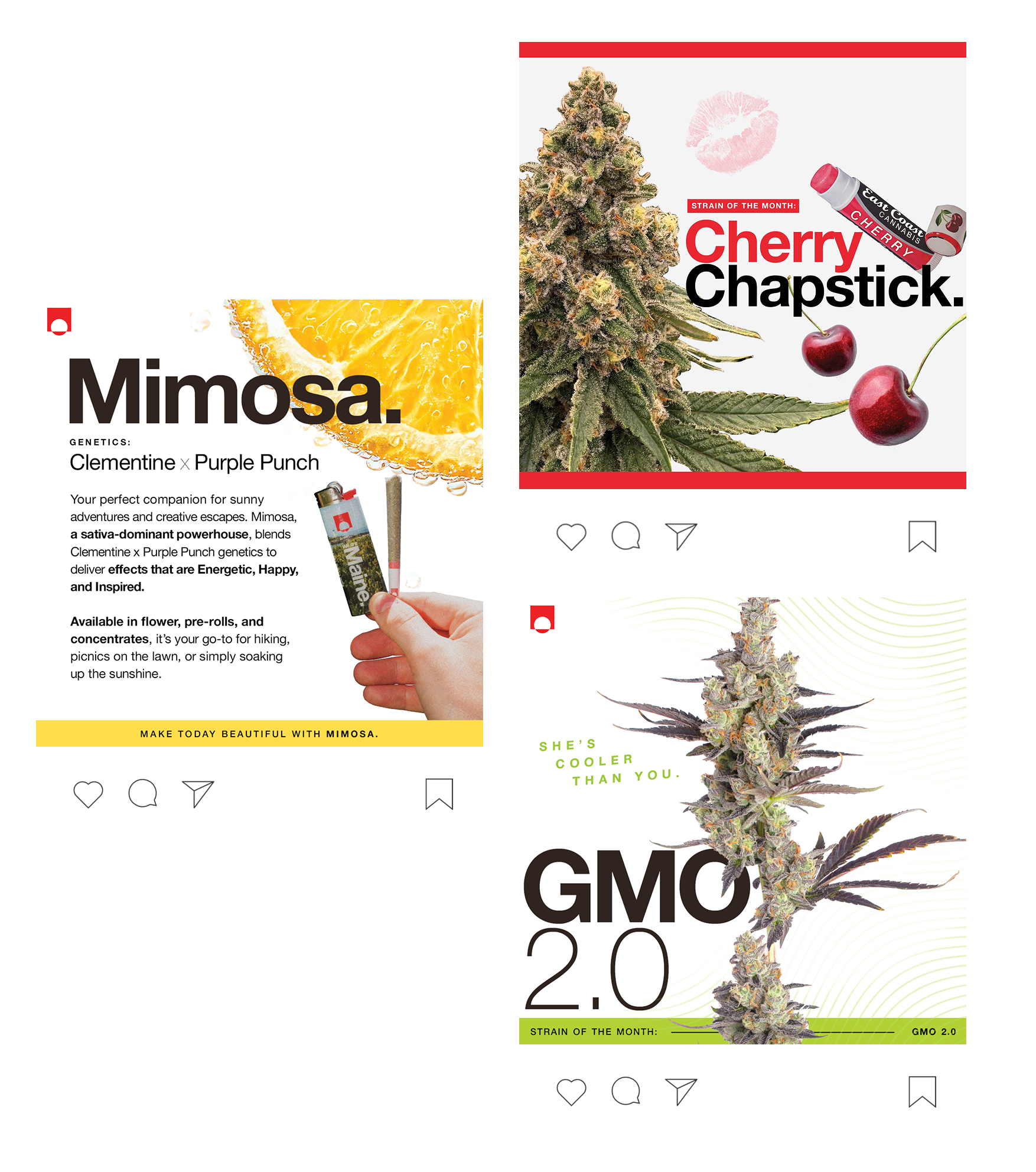 SOTM_insta-feed2