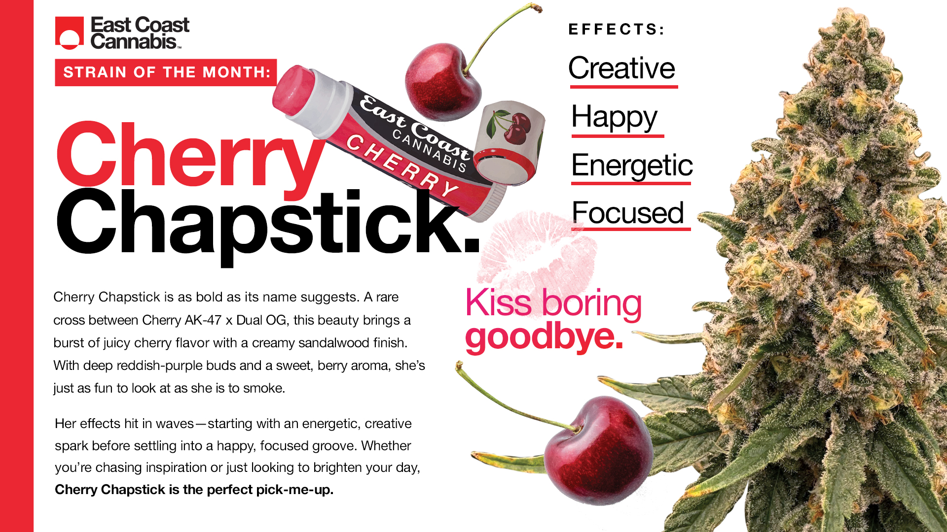 cherrychapstick_campaign assetsTV Horizontal