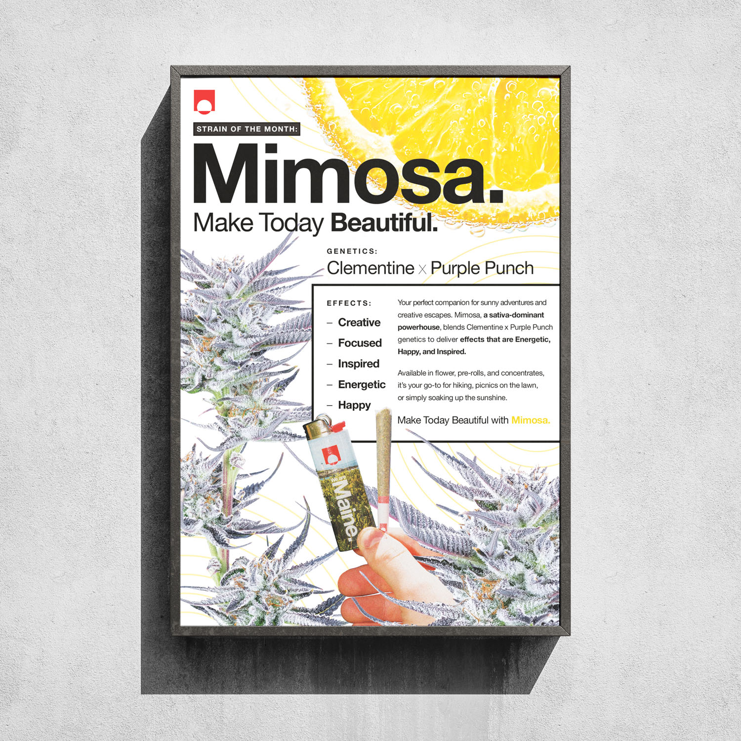 posterSOTM-03